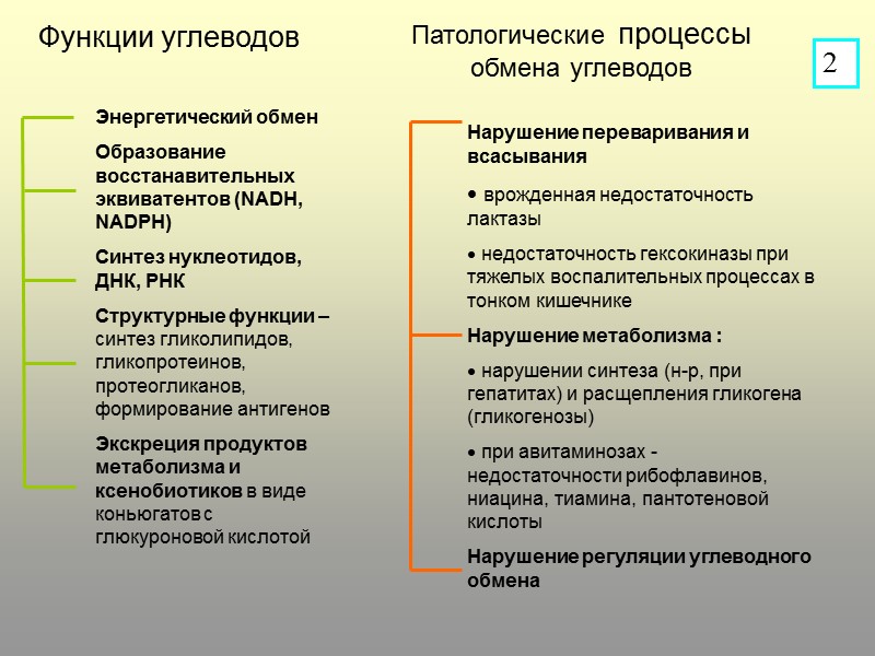 Функции углеводов Патологические процессы обмена углеводов Нарушение переваривания и всасывания  врожденная недостаточность лактазы